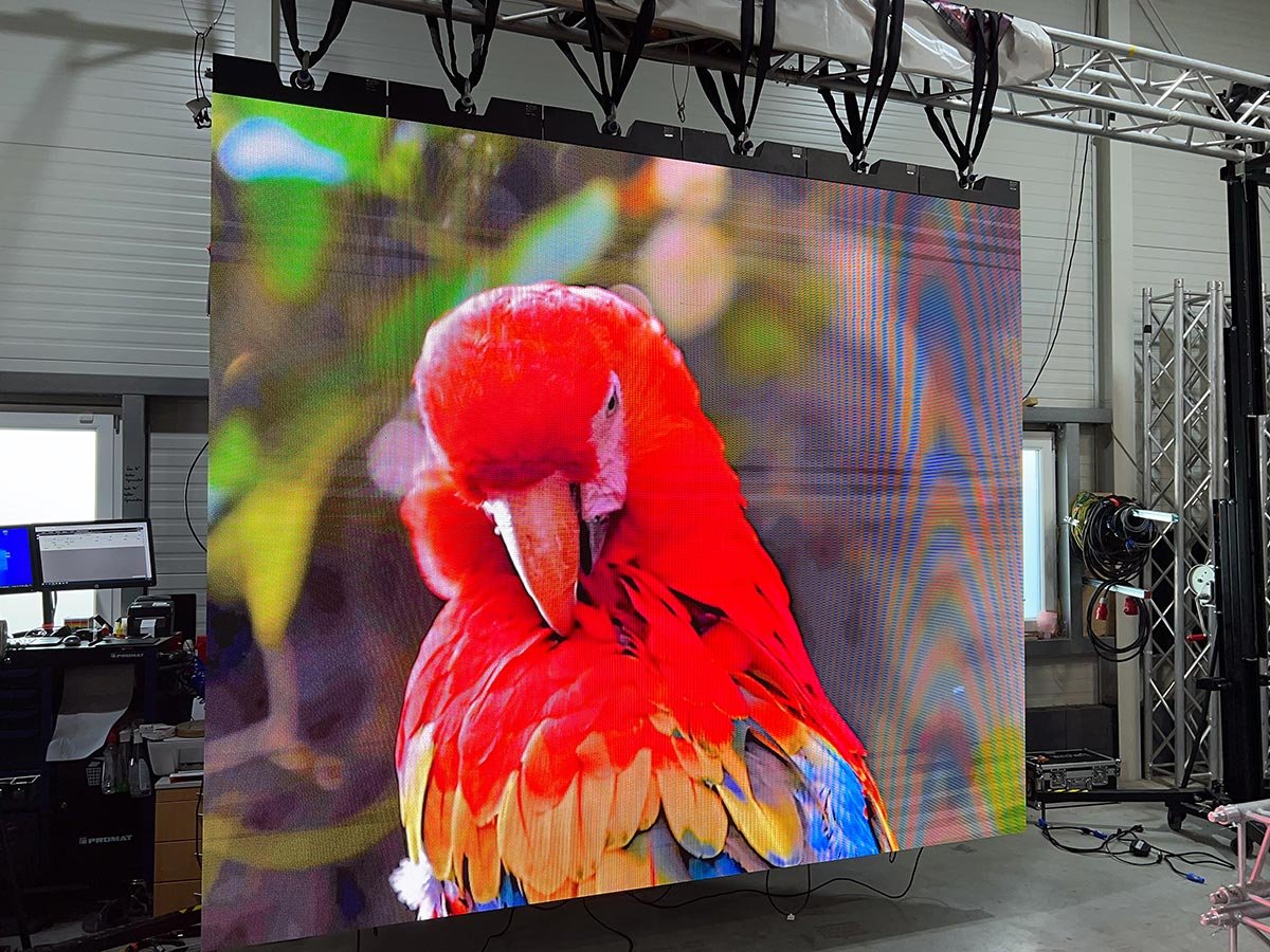 Traversenaufbau in einer Halle mit abhängender LED-Videowand und leuchtend buntem Vogel auf der Videofläche.